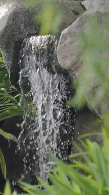 Huzurlu bir şelale, yeşilliklerle çevrili sakin bir bahçede yavaşça akıyor..