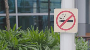 Şehir bölgesindeki yemyeşil bitkilerin arasında sigara içilmez tabelası var..