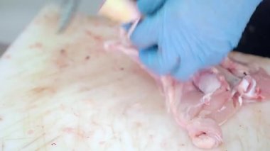 Temiz bir mutfakta tavuk bacağını ustalıkla kesen bir aşçıya bakın..