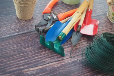 Bahçıvanlık aletleri ahşap bir masaya yerleştirilir ve ekilmeye hazırdır..