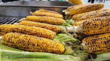 Yerel bir markette sergilenen koçanda taze ızgara mısır..