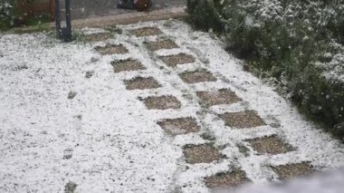 Kar bir bahçe yolunu örtüyor, dışarıda huzurlu bir kış manzarası yaratıyor..