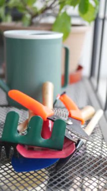 Renkli bahçe aletleri dışarıdaki metal bir masaya yerleştiriliyor..