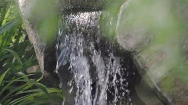 Güzel su, yemyeşil bitkilerle çevrili kayaların üzerine düşer..