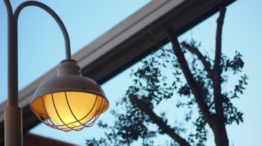 Sıcak bir ışık cam duvarın yakınındaki eşsiz bir armatürden parlıyor..