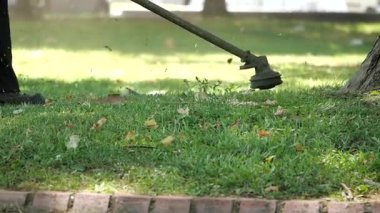 Parkta çimenler budanırken ağaçlardan yapraklar yavaşça dökülüyor..