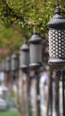 Yeşil ağaçlarla çevrili parlak bir patika boyunca fenerler asılı..