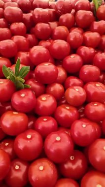 Parlak kırmızı domatesler bir yaz pazarında büyük miktarlarda sergilenir..