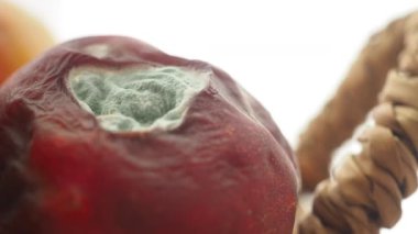 Küflü meyvenin yakın görüntüsü çürüme ve doku detaylarını ortaya çıkarır.