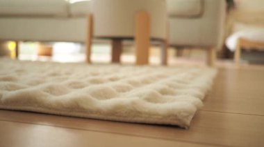 Yumuşak beyaz halı, şık bir oturma odasında, sıcak ahşap zeminde yatıyor..