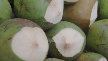 Çiftçiler parlak güneşin altındaki ağaçlardan olgun yeşil hindistan cevizleri toplarlar..