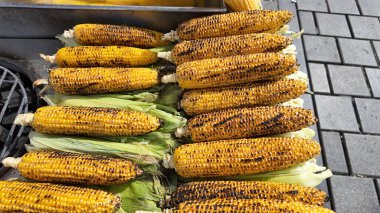 Koçanda taze ızgara mısır satılığa çıktı..