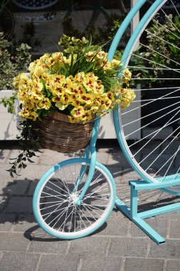 Mavi bir bisiklet standı bir dükkanın önünde parlak sarı çiçeklerle dolu bir sepet tutuyor..