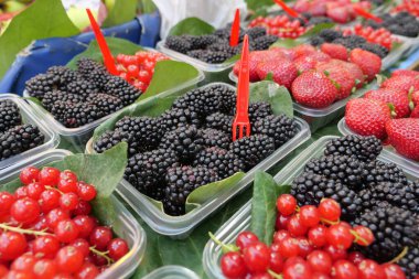 Parlak kırmızı çilekler, böğürtlenler ve kırmızı üzümler satışa sunulmuştur..