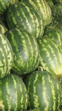 Pazarda taze toplanmış karpuzların parlak bir gösterisi..