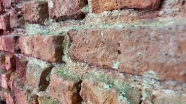 Ilık güneş ışığı altında parıldayan detaylı, desenli tuğla bir duvar..