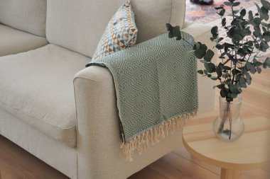 Şık bir oturma odasında yumuşak bir atış, dekoratif bir yastık ve bitkiler bulunur..