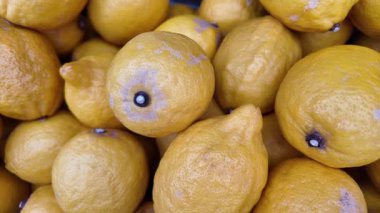 Parlak sarı limonlar marketteki vitrini dolduruyor, satın alınmaya hazır..