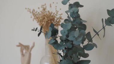 Cam bir vazoda kurumuş çiçekler ve okaliptüs sergisi..