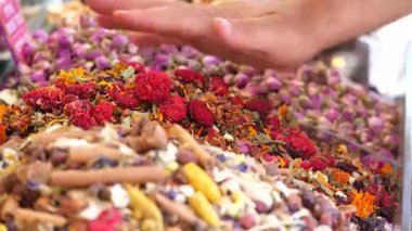 Bir pazardaki renkli baharat ve bitkiler dizisine uzanır..