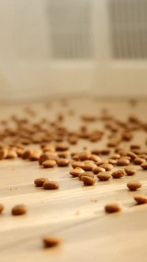 Kuru hayvan mamaları güneşli bir odada ahşap bir zemine dökülür..