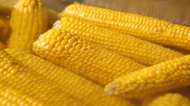 Sarı mısır suda kaynıyor, lezzetli yemekler için hazır..