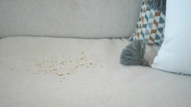 Kanepenin yüzeyinden küçük toprak ve enkaz parçaları fırçalanmış..