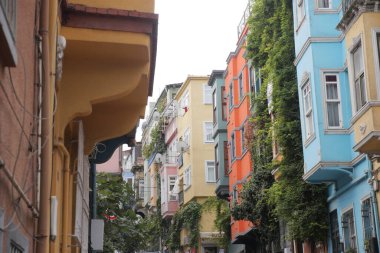 Parlak renkli binalar yeşil sarmaşıklarla dolu dar bir cadde..