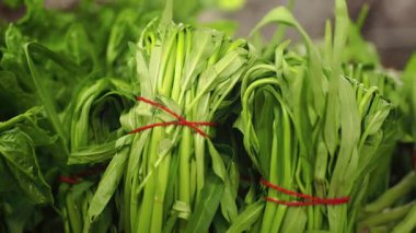 Parlak yeşil sebzeler yerel bir markette dizilir ve bağlanır..