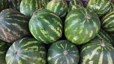 Taze karpuzlar temiz gökyüzünün altındaki yerel bir markette düzgünce dizilmiş..