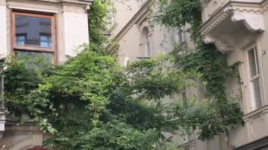 Canlı bir şehir ortamında eski bir binayı çevreleyen canlı bitkiler..