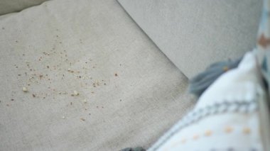 Oturma odasındaki kanepede kırıntıların yakın çekimi..