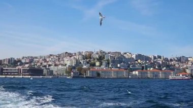 Güzel binaları ve suları olan hareketli bir sahil şehrinin manzarası..