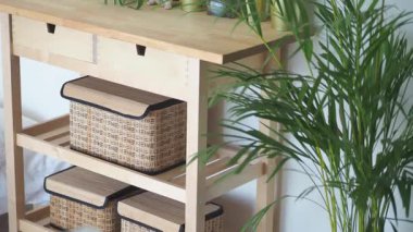 Şık depolama seçenekleri ve bitkileri olan bir ev düzenlemek.
