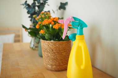 Masadaki çiçeklerin yanında parlak sarı bir sprey şişesi duruyor..