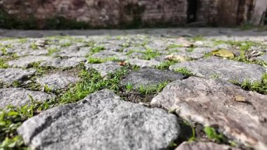 Parke taşı sokakları taşların arasında büyüyen çimenleri gösteriyor..