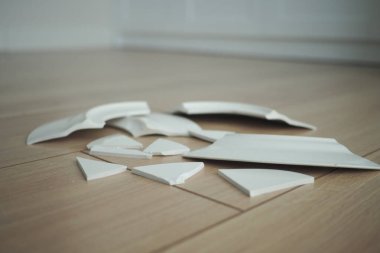 Seramik parçalar açık renkli ahşap bir yüzeye yayılır..