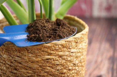 Mavi alet, yeşil bitkilerle dokunmuş bir ekicinin üzerinde zengin toprağı tutar..