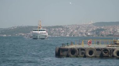 Güneşli bir günde, güzel bir şehir manzarası olan bir feribot körfezi geçer..