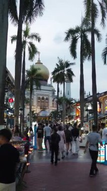 Singapur 'daki Sultan Camii ve Palmiye Ağaçları 
