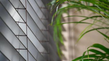 Güneş ışığı panjurların arasından akar ve duvarda ilginç gölgeler bırakır..