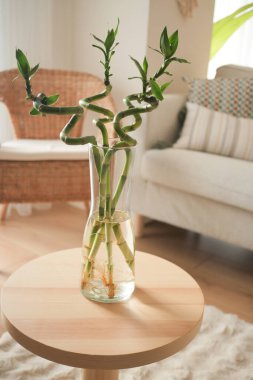 Evdeki ahşap bir masada duran cam vazodaki bambu bitkisi..