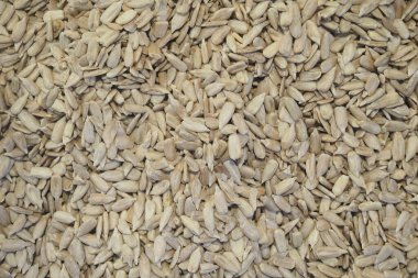 Ayçiçeği tohumları kurutulmak ve işlenmek için güneşe yayılır..