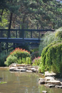 Sakin sular ve yemyeşil bitkiler üzerinde ahşap bir köprüye sahip güzel bir bahçe..
