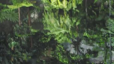 Su, gün boyunca etrafındaki ağaçların ve bitkilerin yeşilliğini gösterir..