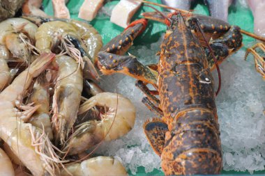 Karides ve ıstakoz gün boyunca deniz ürünleri pazarında buzda oturur..