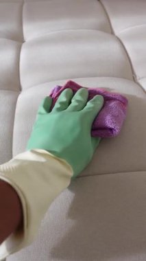 Bir insan mor bir bez ve yeşil eldivenle kanepeyi temizler..