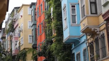 Parlak boyanmış binalar bir cadde boyunca bitkilerle birlikte duruyor..