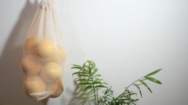 Portakallar, duvardaki yeşil bir bitkinin yanına konur..