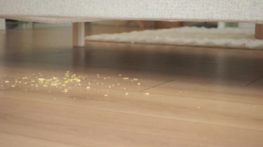 Oturma odasındaki kanepenin altında kırıntılar görülebiliyor..